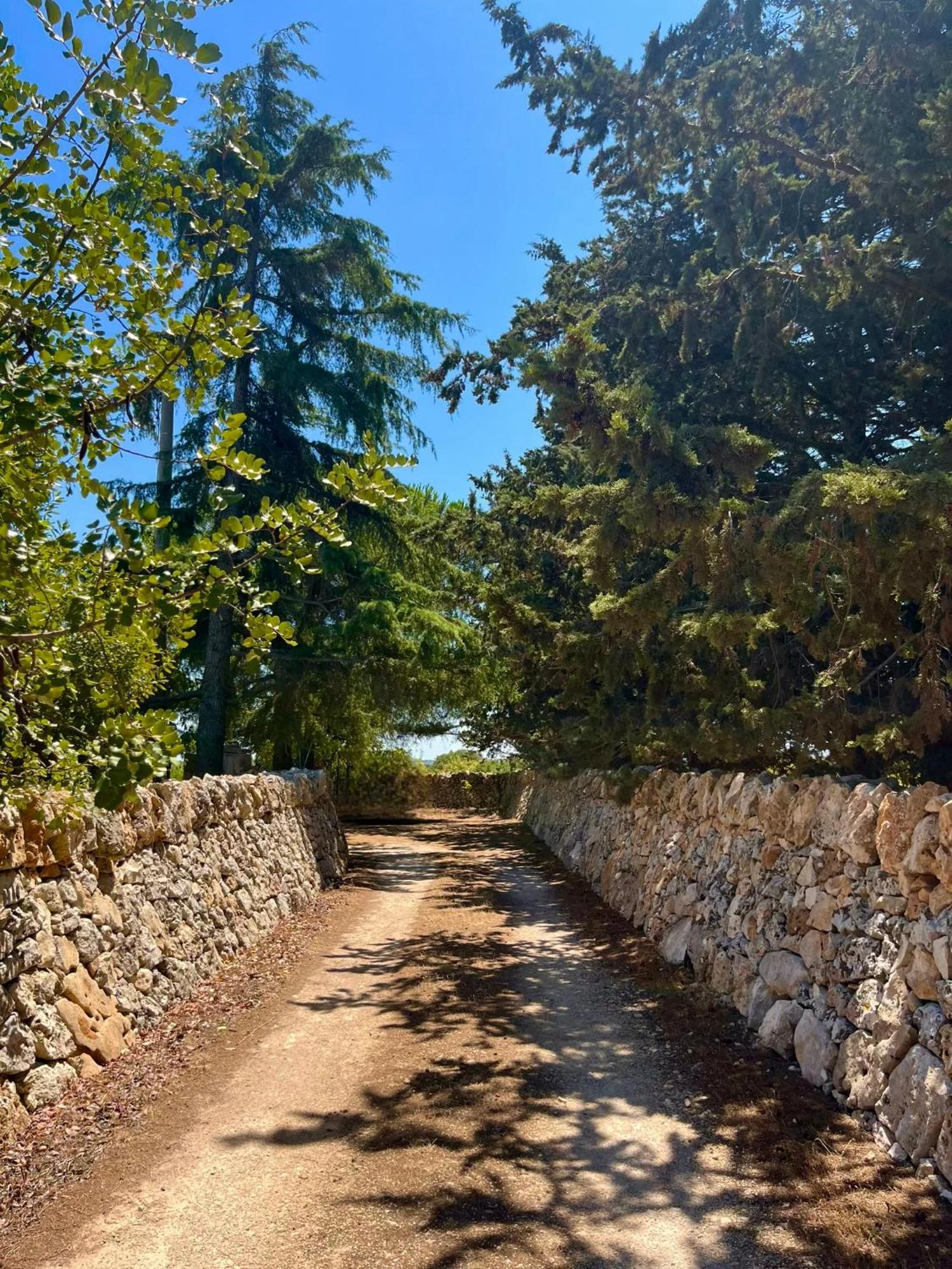 I Trulli Della Naturabio Мартина-Франка Экстерьер фото