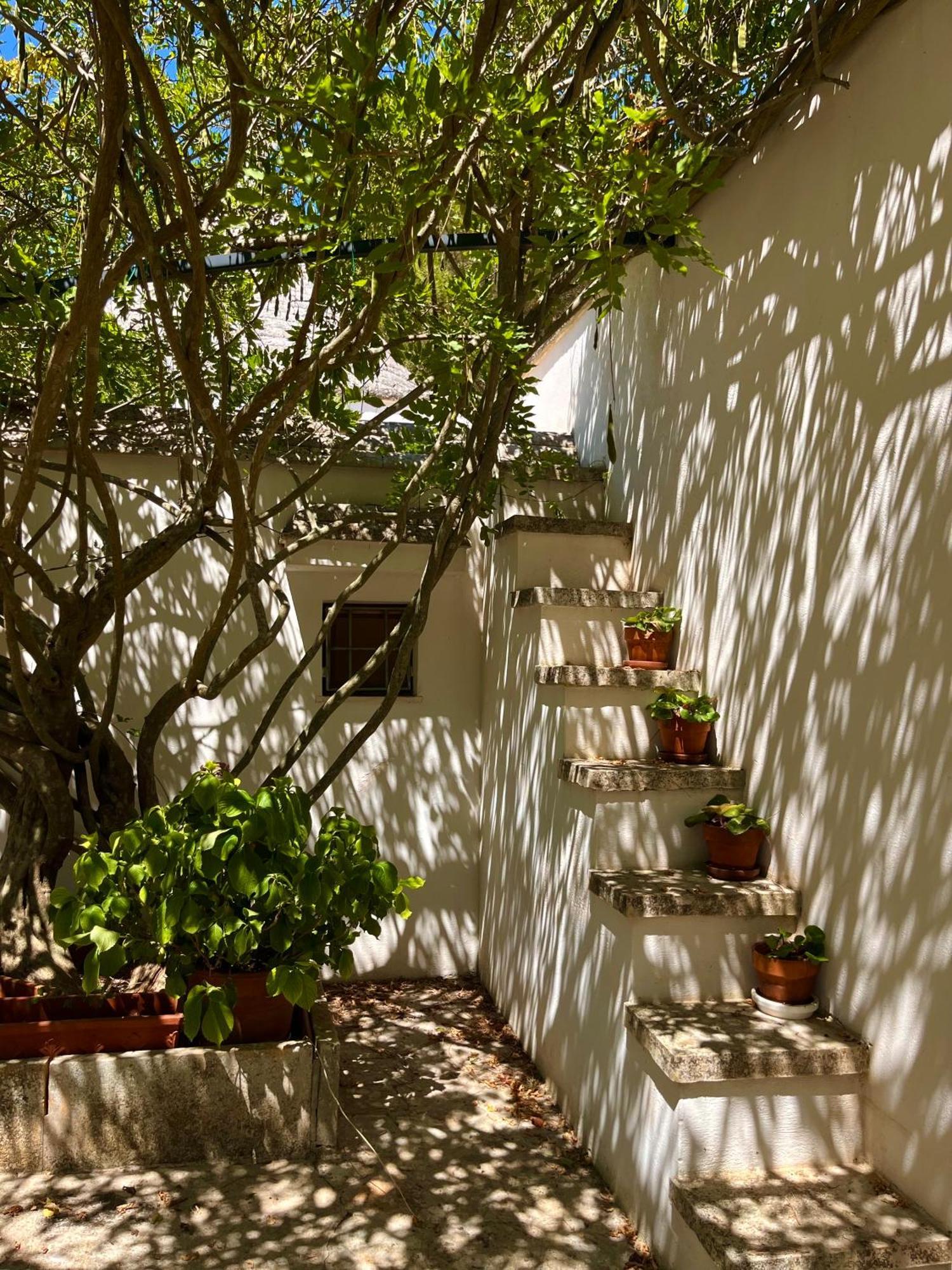 I Trulli Della Naturabio Мартина-Франка Экстерьер фото