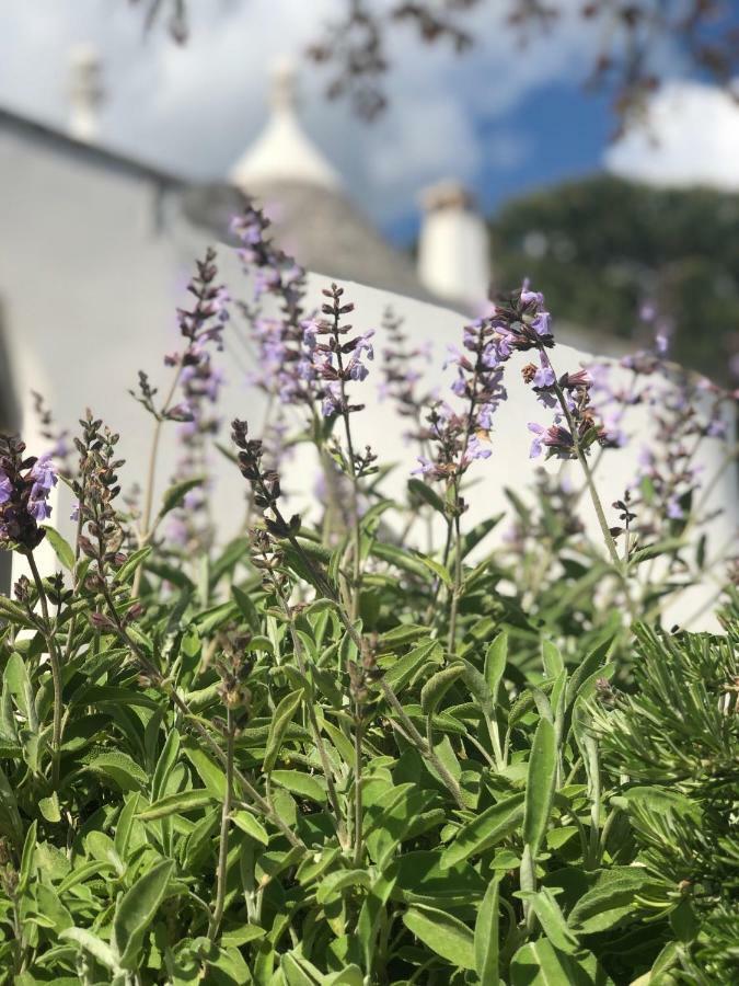 I Trulli Della Naturabio Мартина-Франка Экстерьер фото